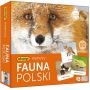 Memory Fauna Polski 